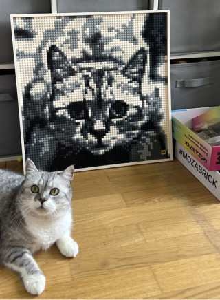 Foto de obra de cliente, avaliação de NATALIA